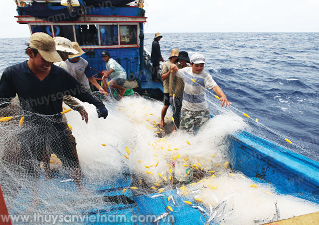 an toàn cho ngư dân khi khai thác thủy sản